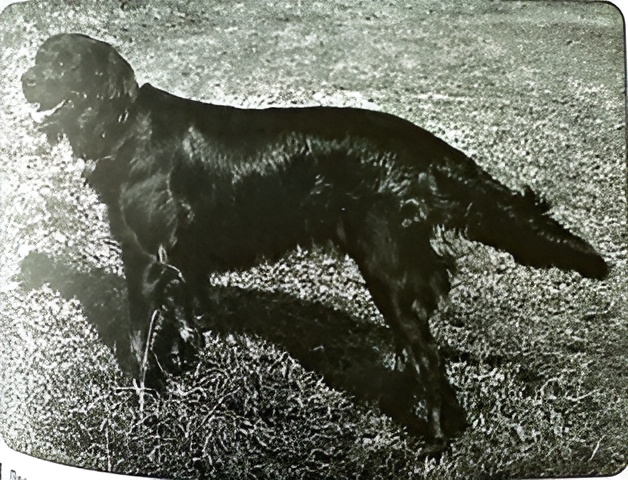 Долли. Фото автора.