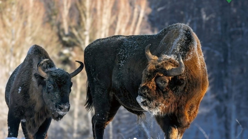    Фото: Правительство Калужской области