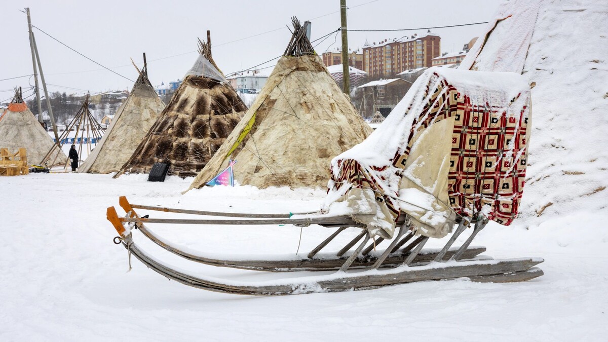    Фото: Федор Воронов / «Ямал-Медиа»