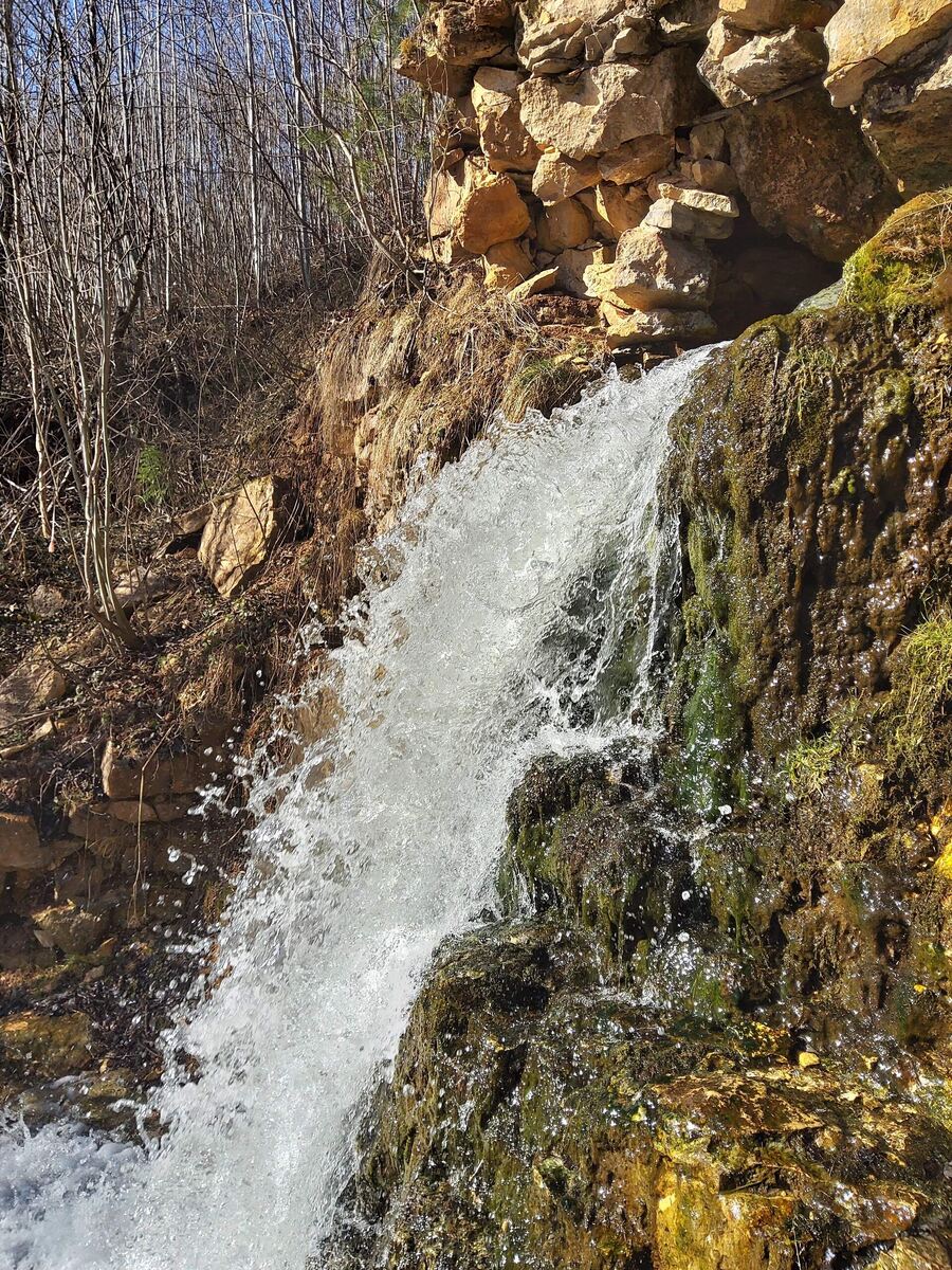 Фото с прогулки за городом, старая усадьба, к сожалению разрушена.