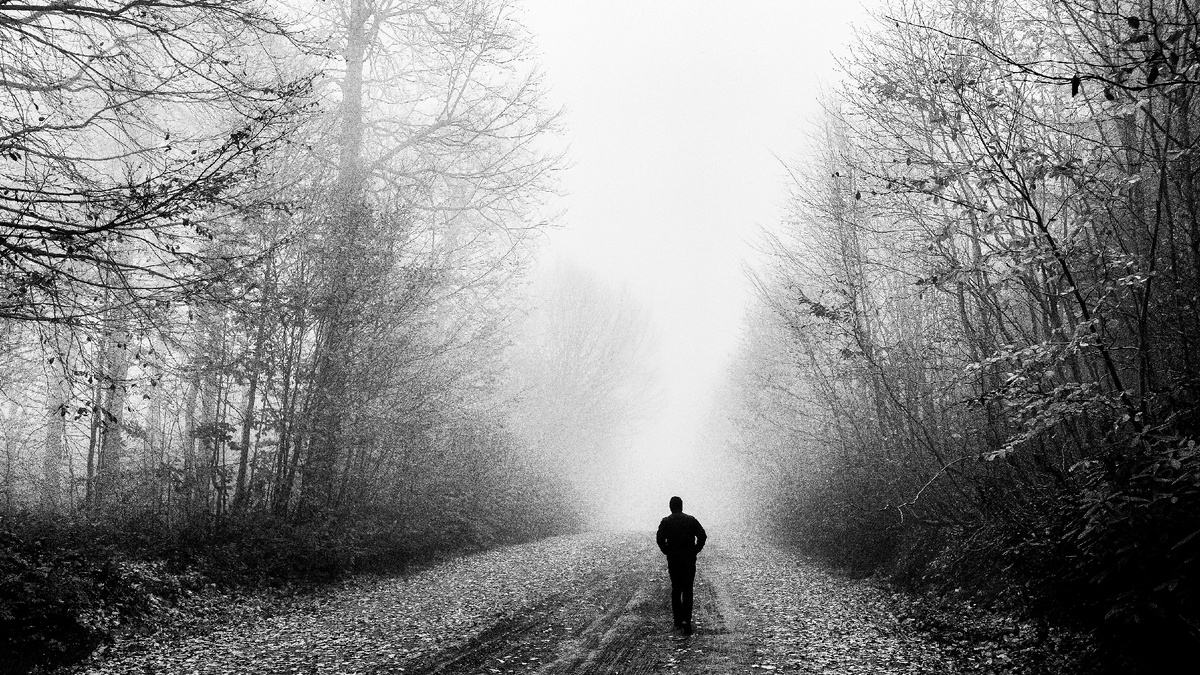 Осознанное сновидение Источник: Pexsels.com/ru