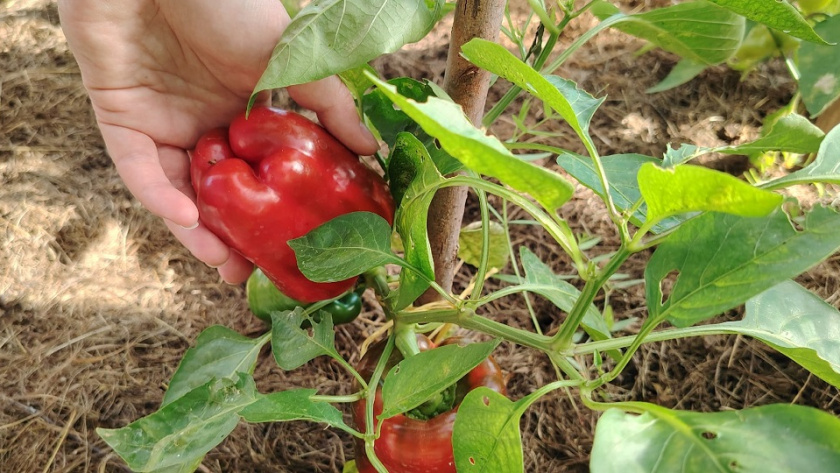    фото из архива редакции