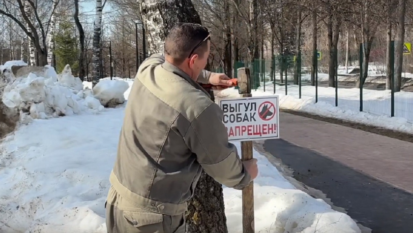    Фото: МКУ «Зеленый город»