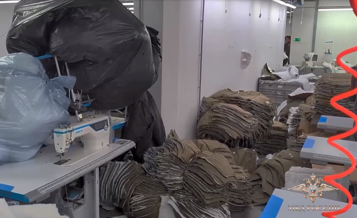     / Источник: © МВД России. Кадр из видео