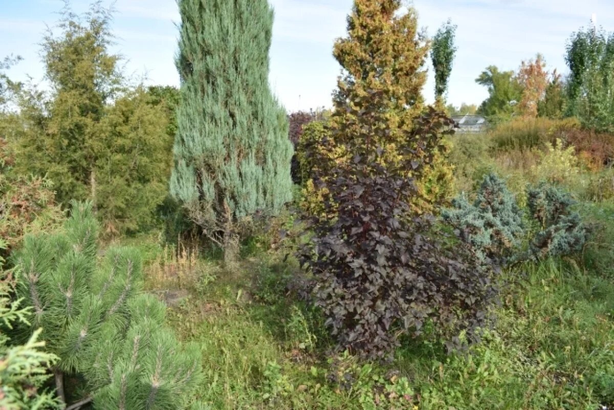    В Тверской области предприниматель забыл, что у него есть 17 гектар земли