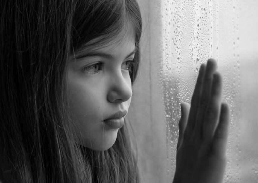 Иллюстрация из открытых источников