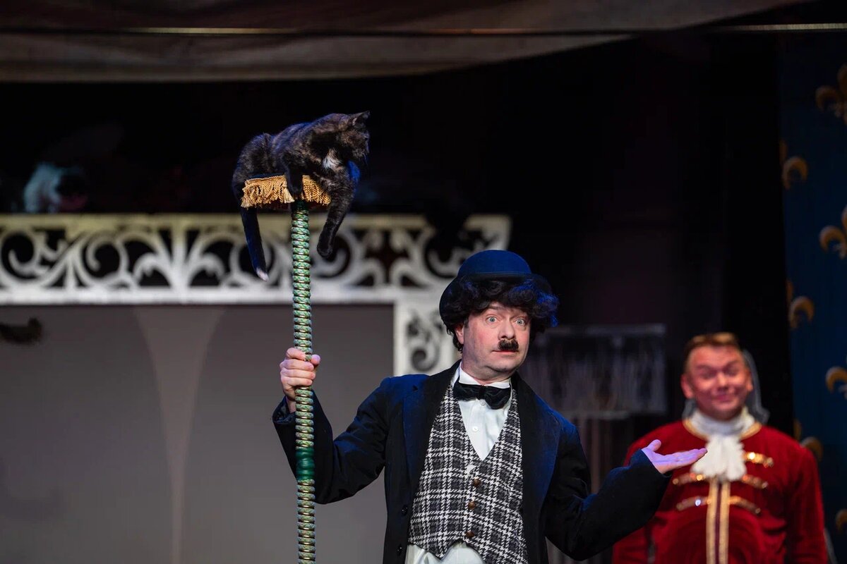 Фронтовые кошки Вижа, Холли и Глуша впервые вышли на сцену Театра Куклачева. Фото: Александр Плонский / «Питомцы».