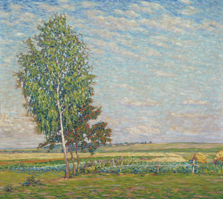 Берёзки и рябинки