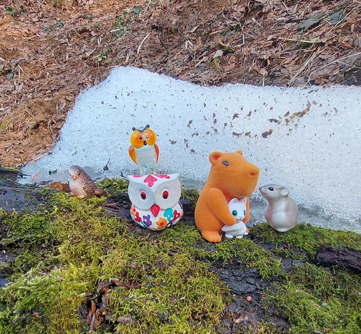 Пернатые кармашники и Мышонок с Капибарой. Фото автора канала