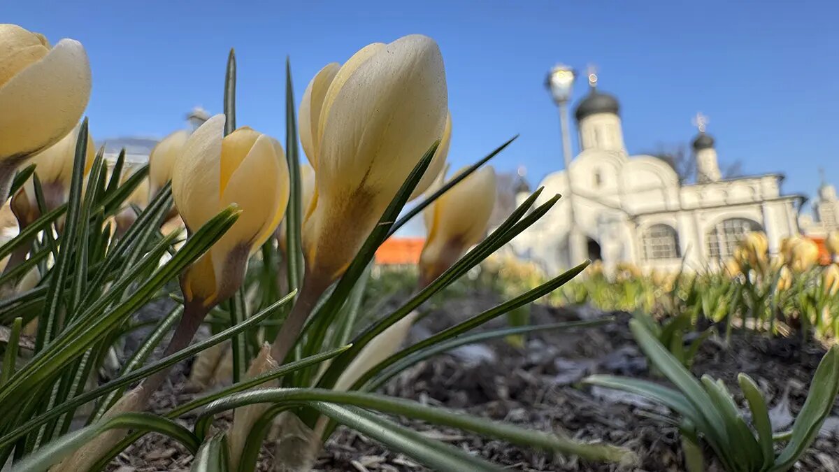    Источник: vm.ru/ Лев Гаврилов