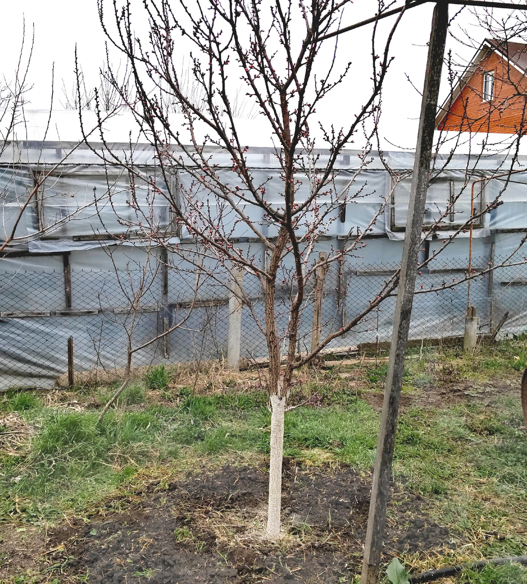 20 марта 2026 года