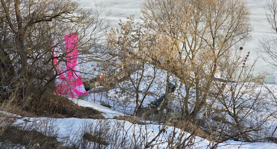    Марина Анисимова