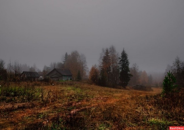 фото из интернета