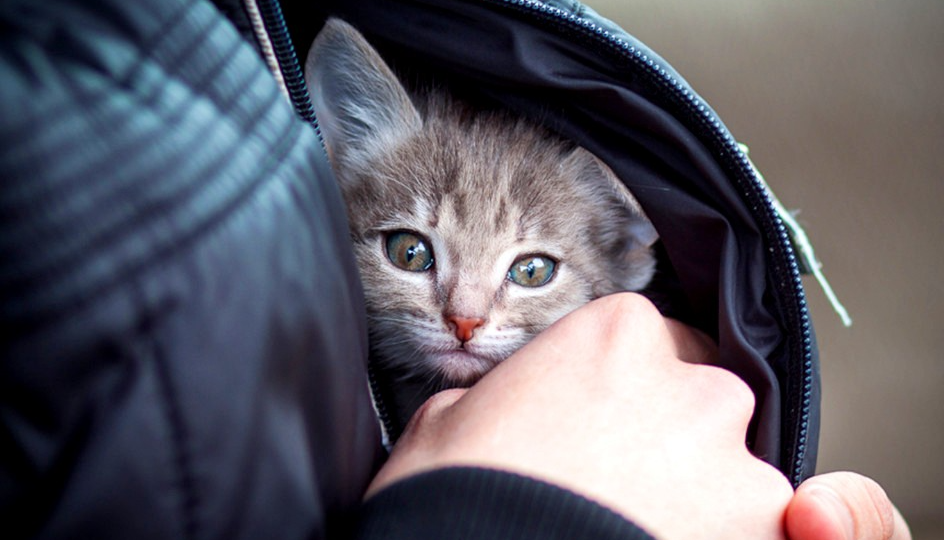 Она меня обманула