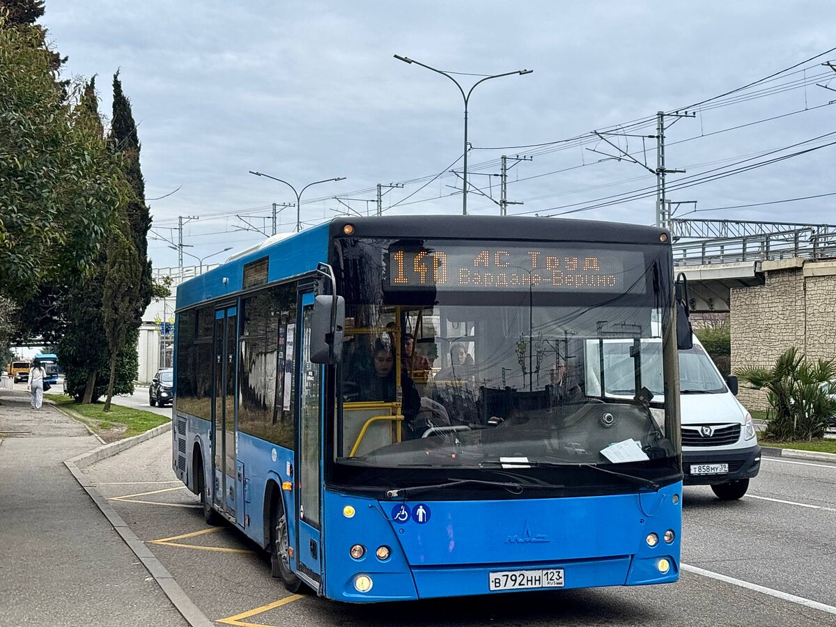    Фото: Telegram/Департамент транспорта и дорожного хозяйства Сочи