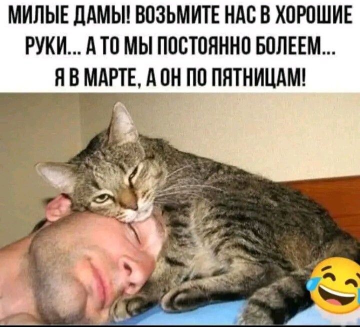 Очень похож на нашего Димку, прям одно лицо!