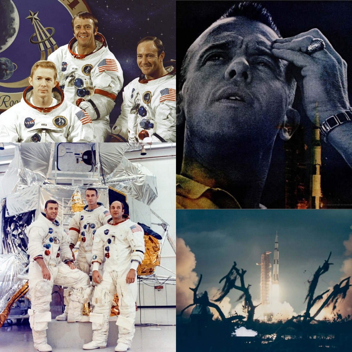 Коллаж автора.