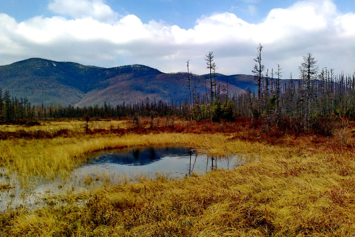 1. Озерко на мари