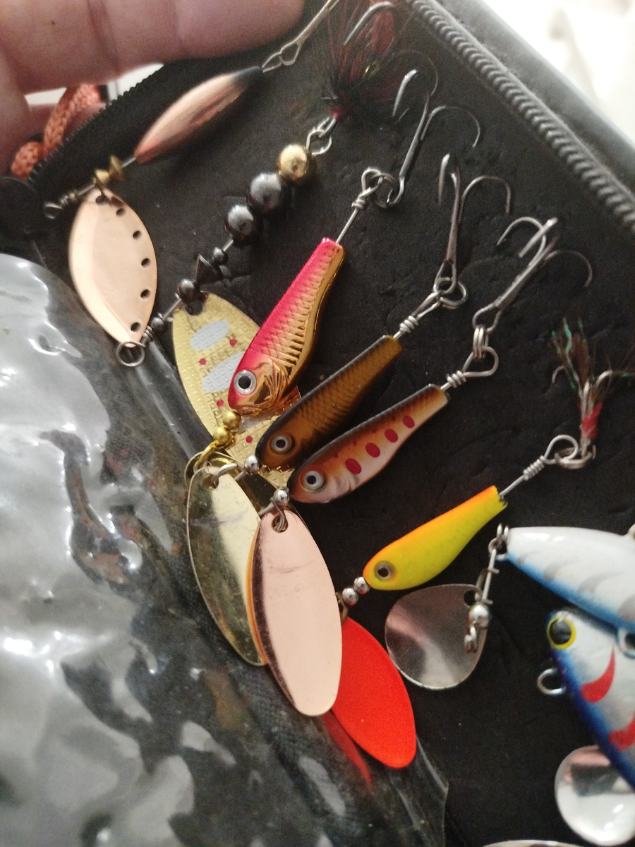 Всегда актуальны 