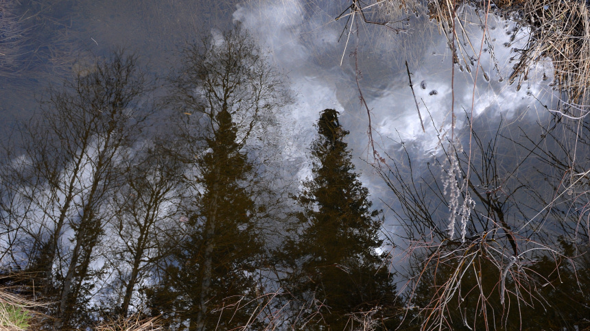    Фото: © РИА Новости/Илья Наймушин