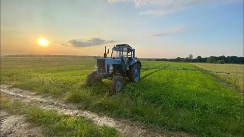 МТЗ-80: почему этот советский трактор до сих пор работает на полях и в сердцах механизаторов