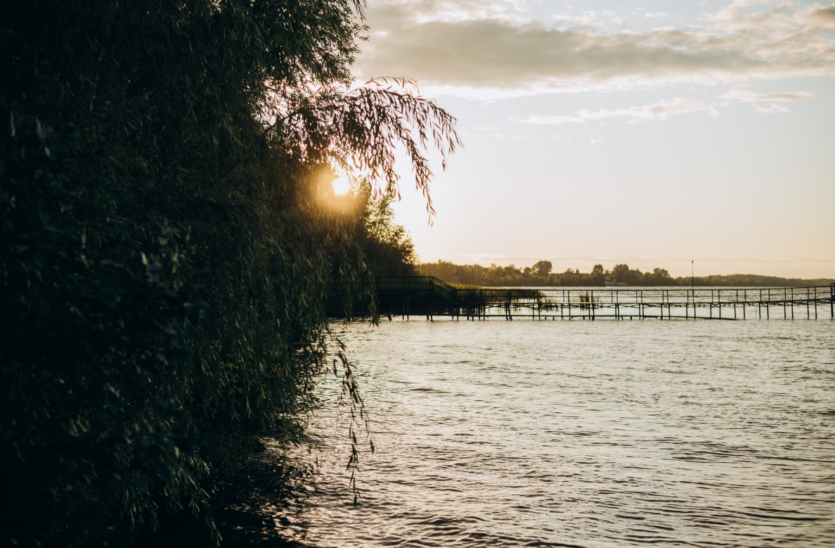 Берег Волги около Шавасаны