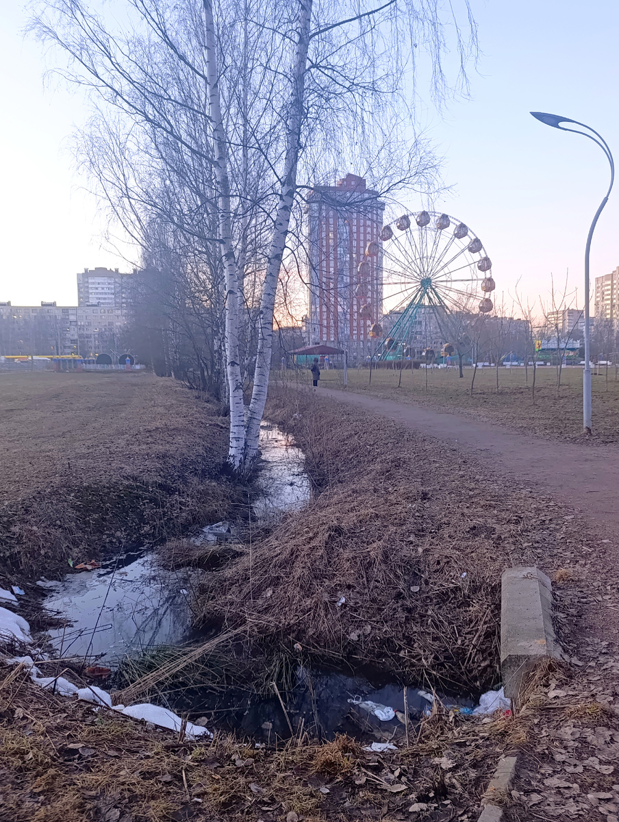 Вид на Колесо обозрения из парка. 