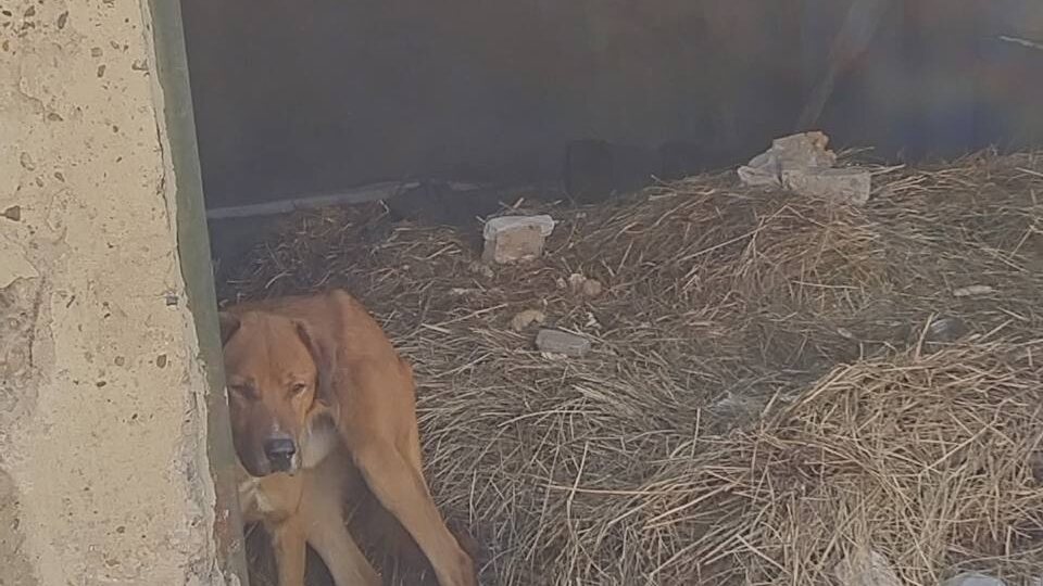 Сегодня у нас +2