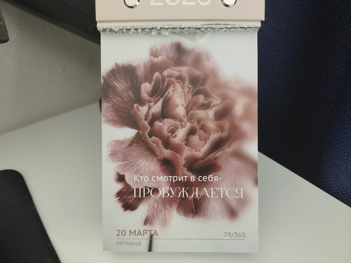 Фото автора. Цитата дня из отрывного календаря 