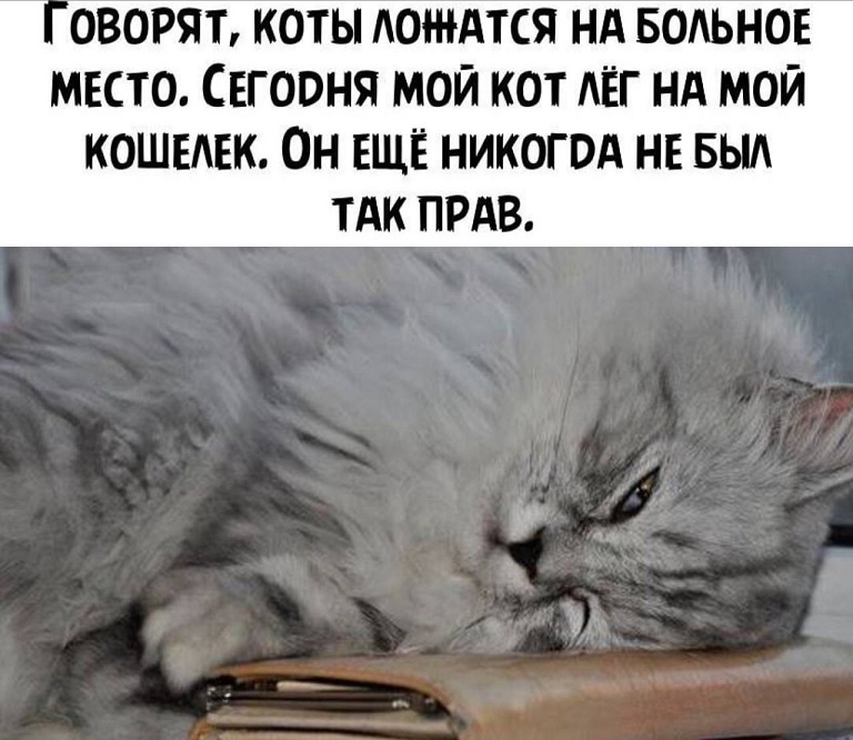 источник Яндекс-картинки