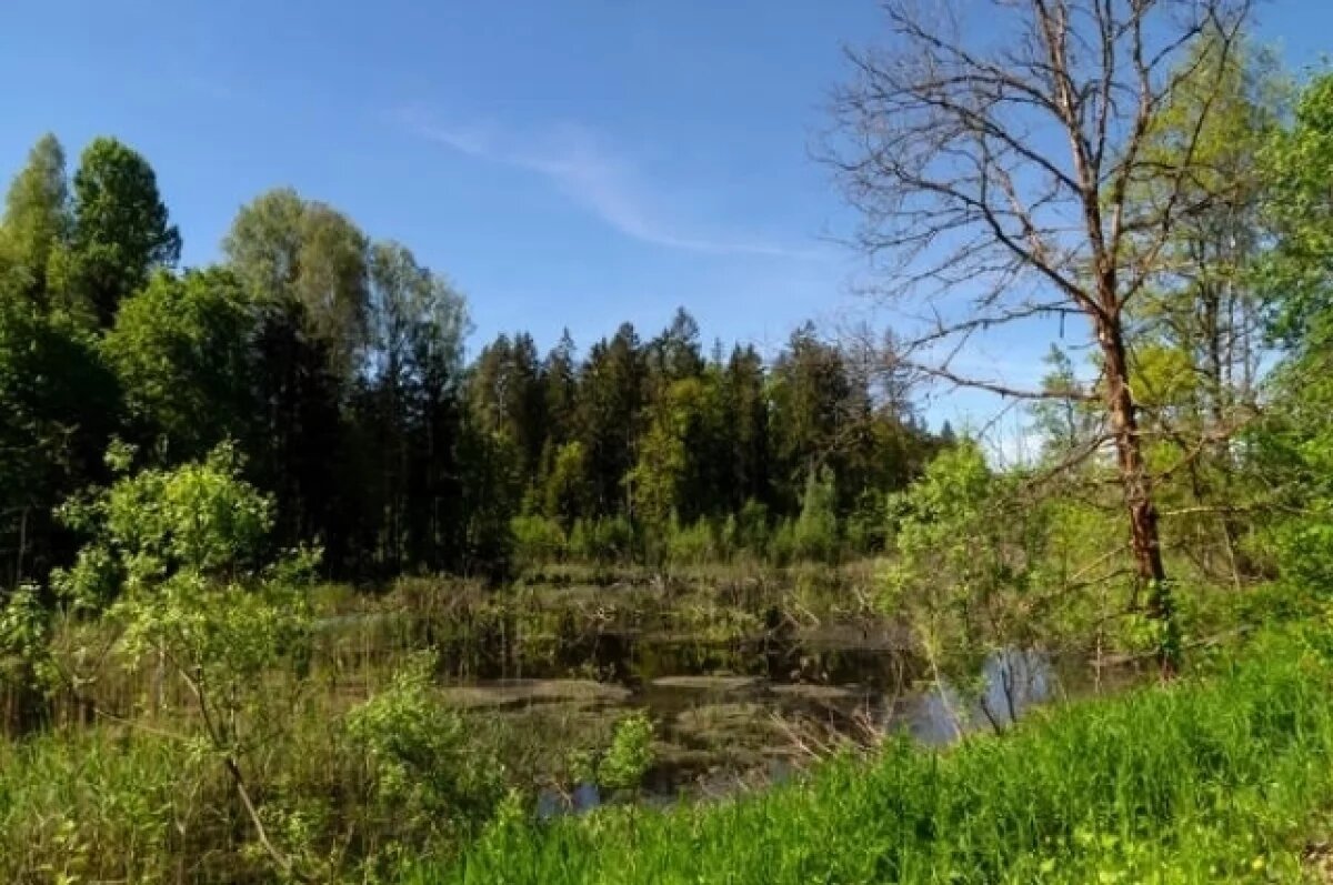    Вокруг нацпарка Виштынецкий создадут охранную зону для защиты природы