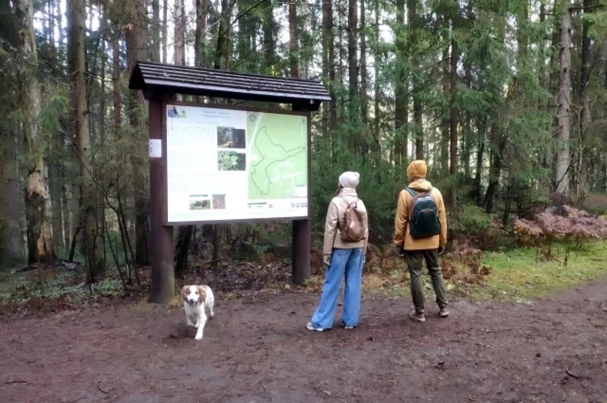    В нацпарке Виштынецкий обновят экотропы за 160 млн рублей