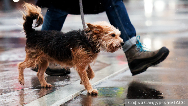     Фото: Софья Сандурская/ТАСС   
 Текст: Тимур Шайдуллин