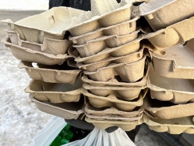    Фото: ГТРК "Карелия"