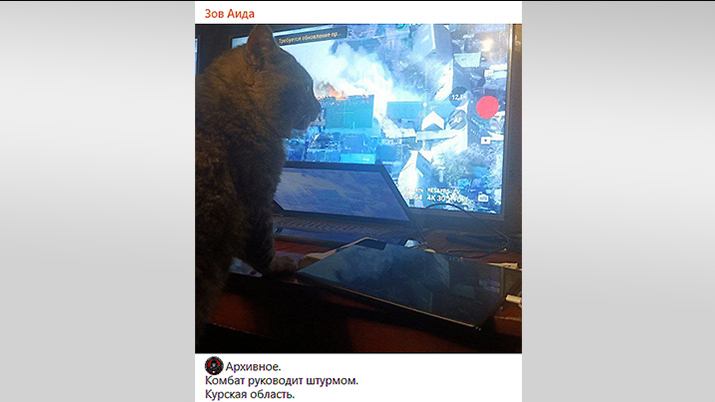 Скриншот с тг-канала "Зов Аида"