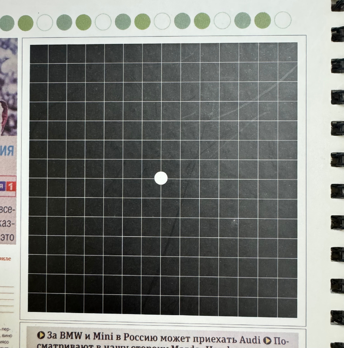 Тест Амслера. Простой и доступный 