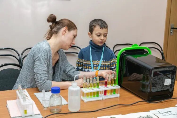    Источник: scientificrussia.ru Полина Потапова