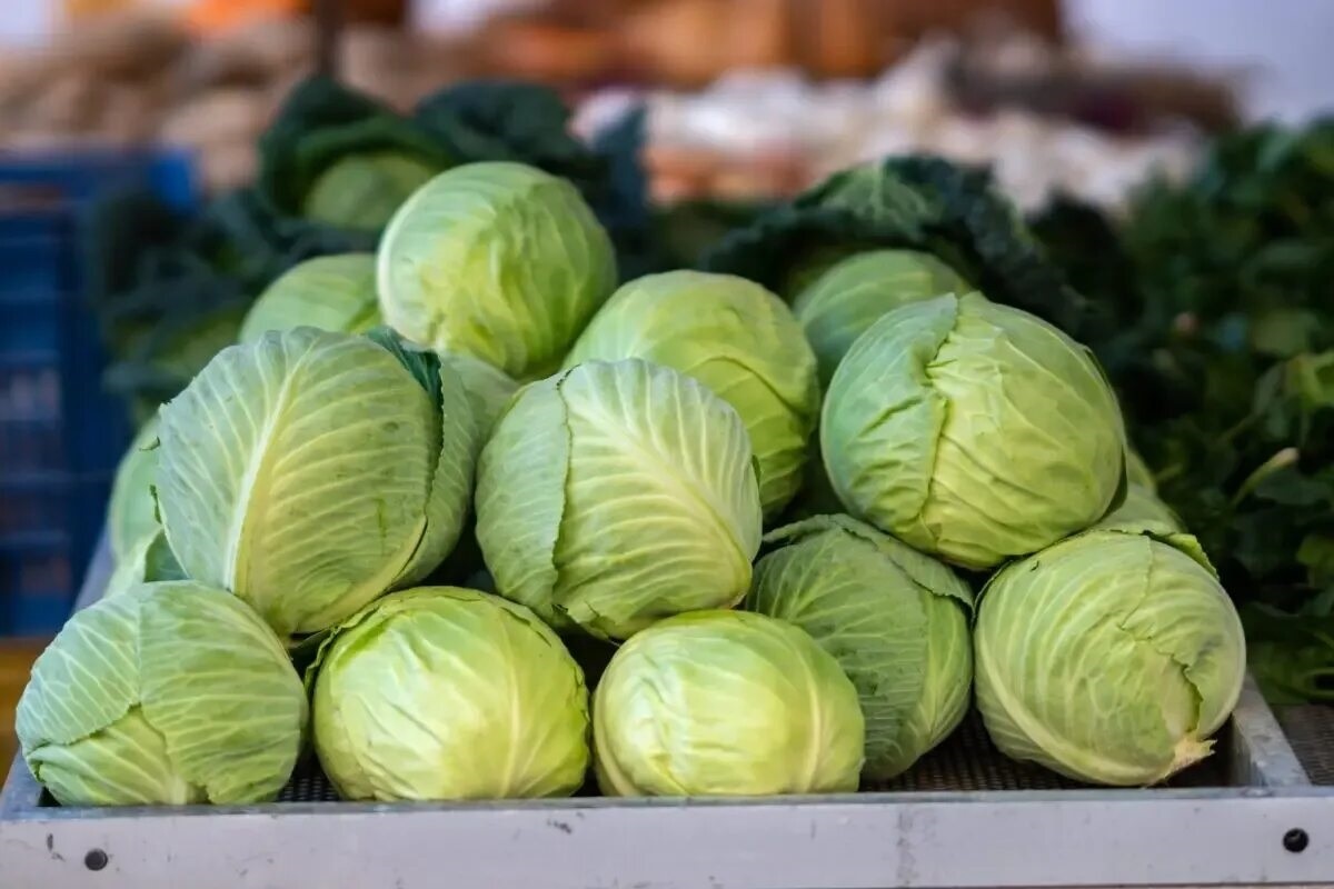 Фото с сайта: https://healthy-food-near-me.com/how-to-choose-the-right-cabbage/