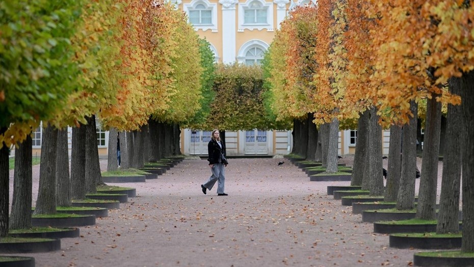    Автор фото: Ермохин Сергей/"ДП"