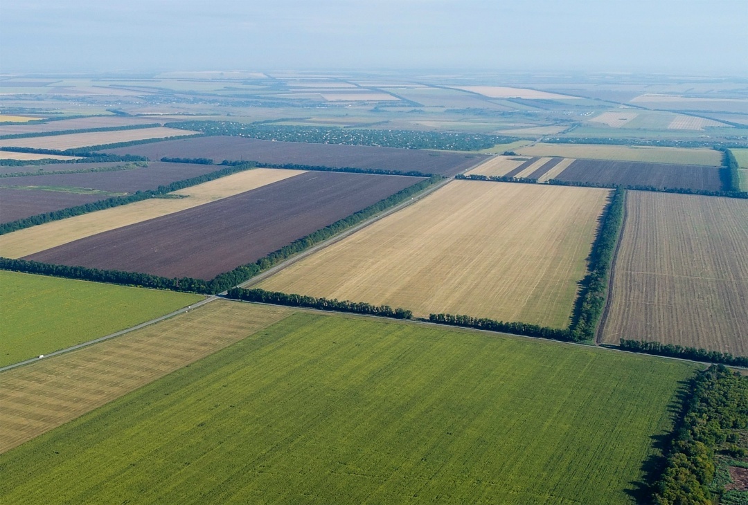 Лесополосы по всей стране