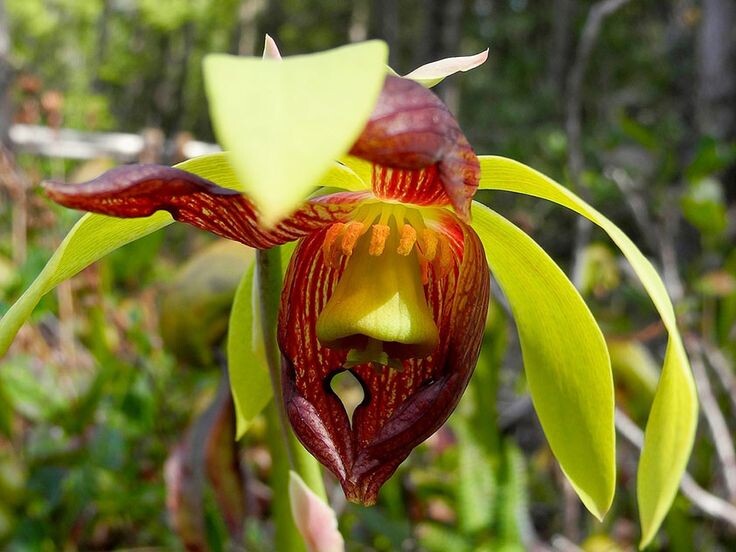 Фотография из интернета