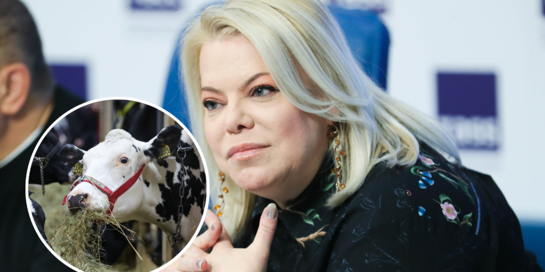 «Как они будут визжать…»: Поплавская «набросилась» на новосибирских чиновников из-за забоя скота фермеров