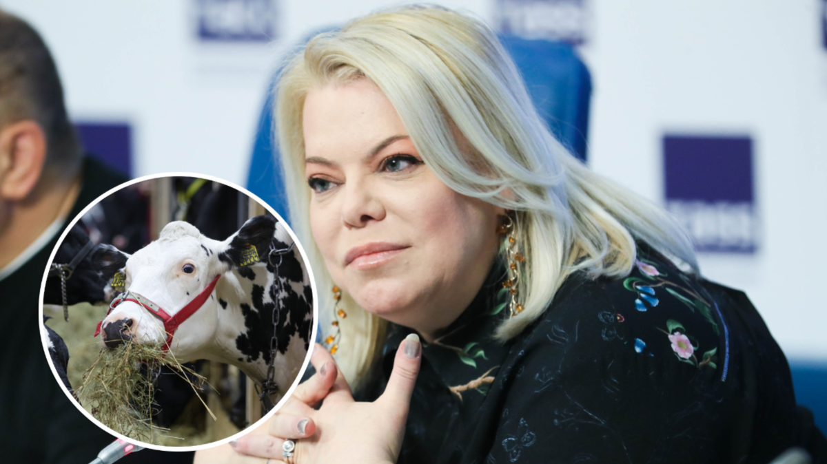 Фото: Belkin Alexey/Sergey Petrov/globallookpress.com