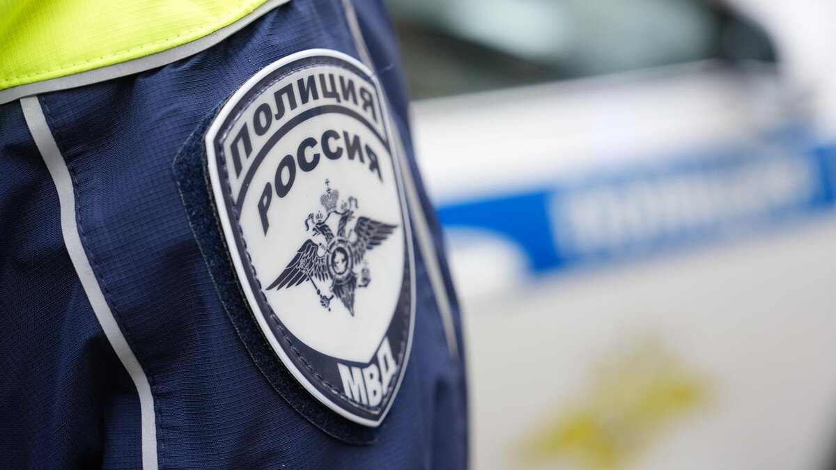    Фото: ИЗВЕСТИЯ/Эдуард Корниенко