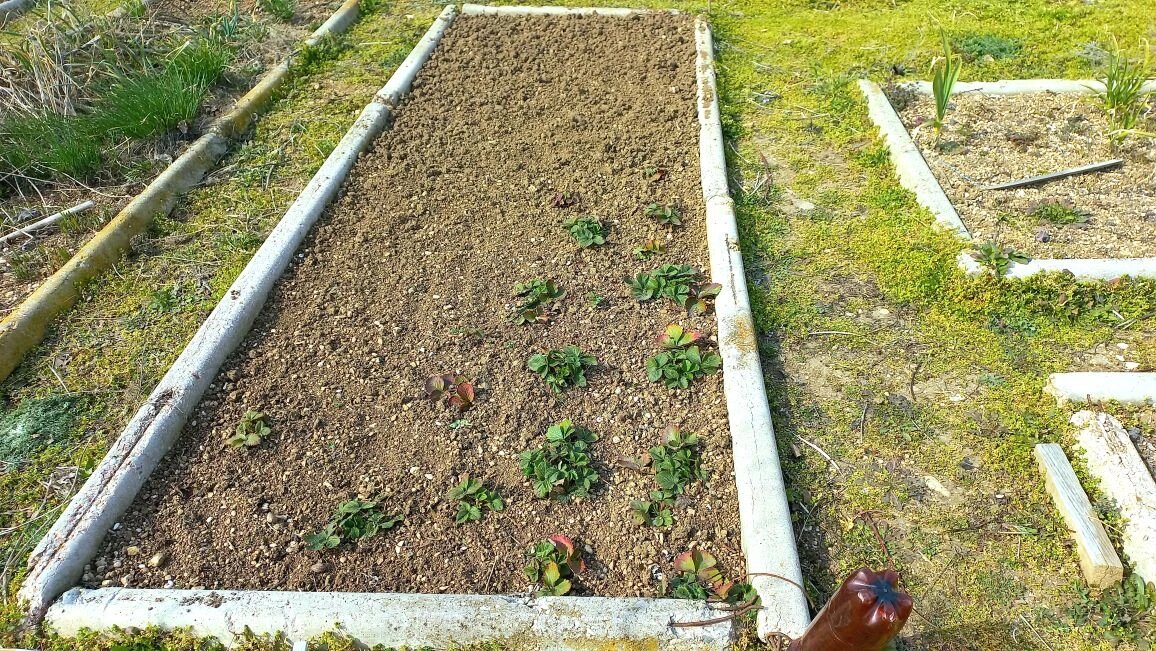 Так потихоньку всё становится чистенько и красиво.