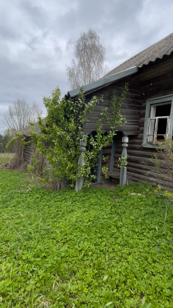 Фото автора канала. 