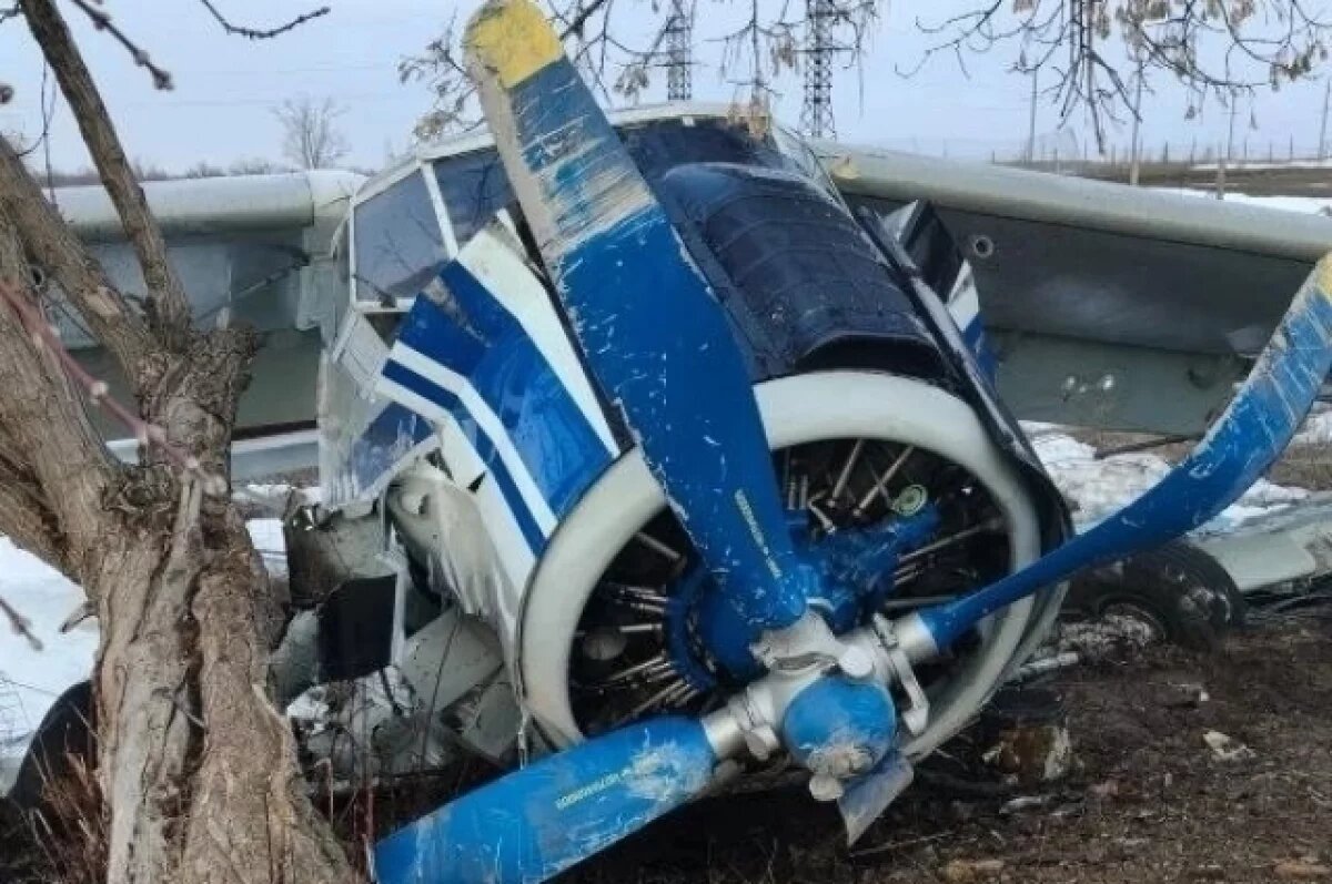    Самолет Ан-2 рухнул на взлетную полосу в Волгоградской области