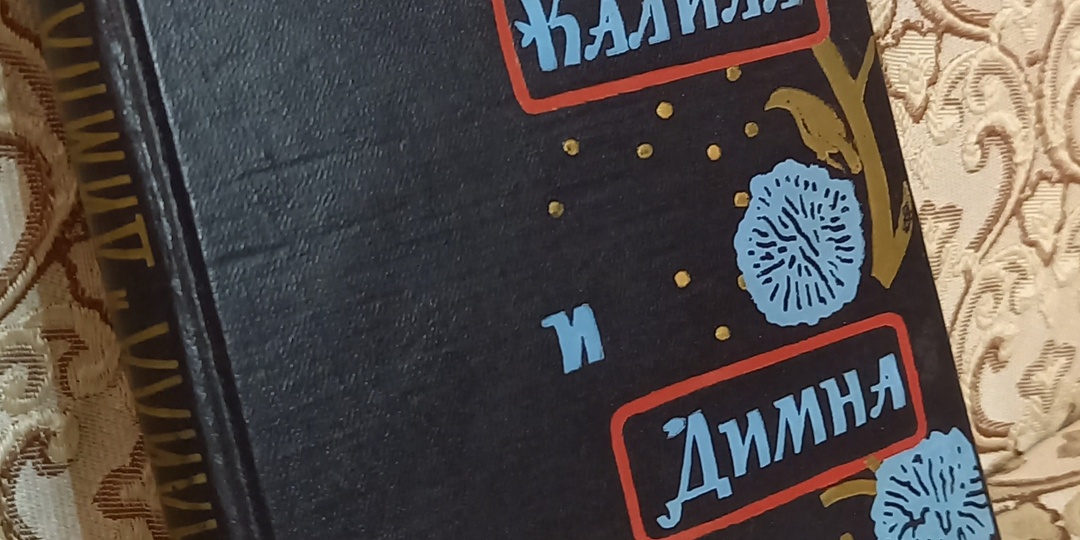 21.03.26. Принесли немного книг.