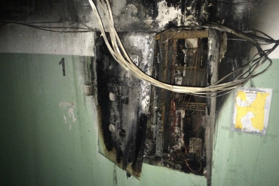 картинка из свободного интернета