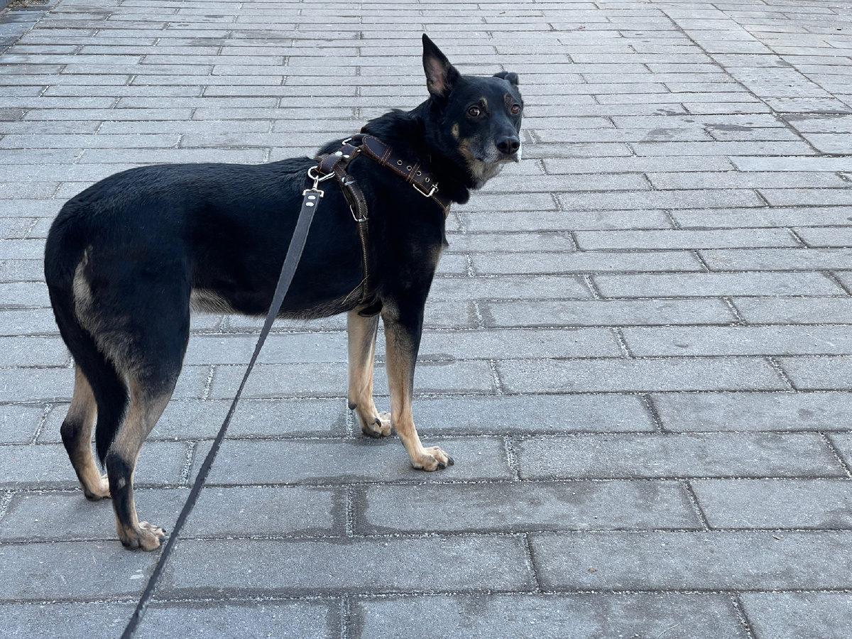 Но я стараюсь бороться со страхами. Честно!